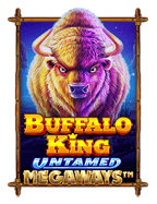 วิธีเล่น sbobet บอลช ดว นน สำหรับนักพนันมือใหม่